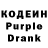 Codein Purple Drank Dylan Bilic
