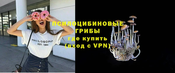 PSILOCYBIN Балахна