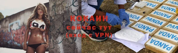 дмт Арсеньев