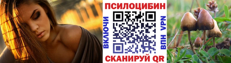 Псилоцибиновые грибы GOLDEN TEACHER  цены   Унеча 