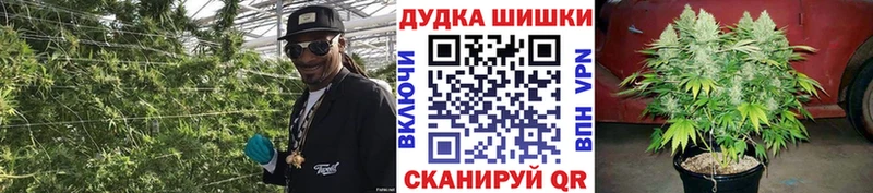Конопля SATIVA & INDICA купить наркоту Унеча